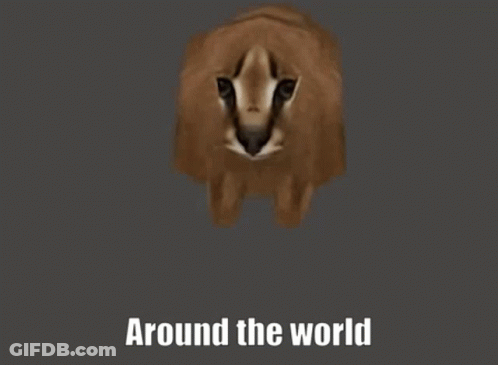 Cat Head Close Up With Around The World Text GIF