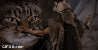 A Close Up Of A Cat 'S Mouth With Its Tongue Out GIF