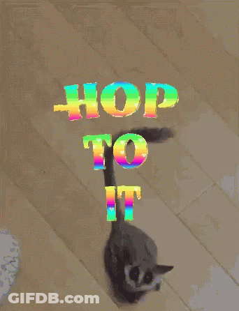 A Close Up Of A Cat 'S Paw On A Wood Floor GIF