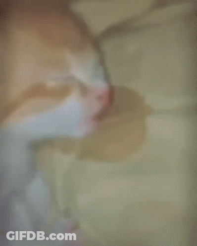 A Close Up Of A Cat Sleeping On A Bed With Its Eyes Closed GIF
