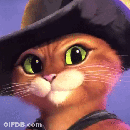 A Close Up Of A Cat Wearing A Black Hat GIF