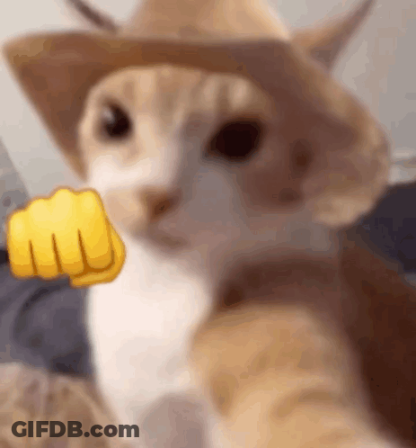 A Close Up Of A Cat Wearing A Cowboy Hat And Giving A Fist . GIF