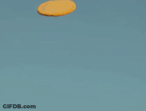 A Close Up Of A Cat Wearing A White Crocs Hat GIF
