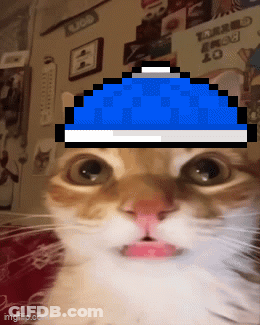 A Close Up Of A Cat With A Blue Hat On It GIF