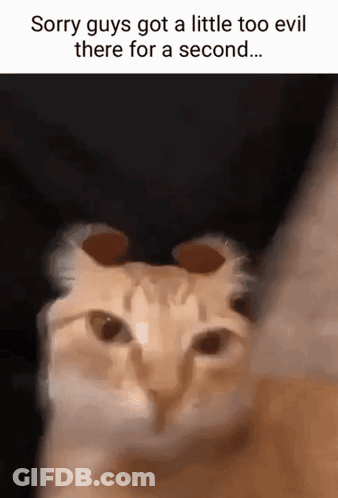 A Close Up Of A Cat With A Caption That Says `` Sorry Guys Got A Little Too Evil There For A Second '' GIF
