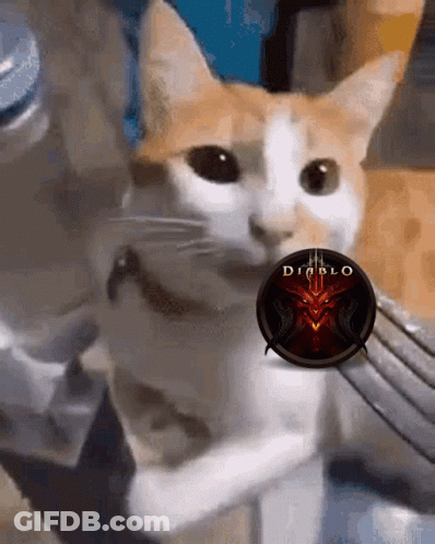 A Close Up Of A Cat With A Diablo Logo On It GIF