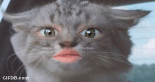 A Close Up Of A Cat With A Pink Lip GIF