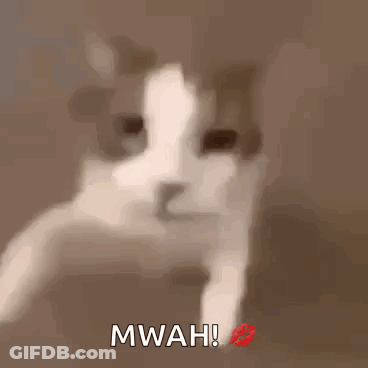 A Close Up Of A Cat With A Red Lip And The Words Mwah GIF