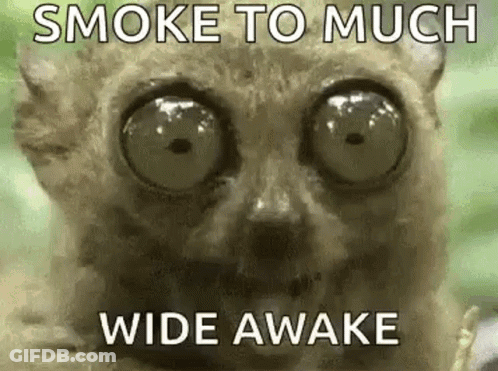 A Close Up Of A Cat With Big Eyes And The Words `` Smoke To Much Wide Awake '' Written On It . GIF