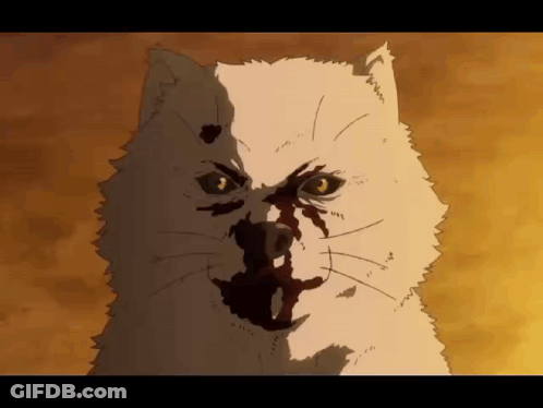A Close Up Of A Cat With Blood On Its Nose GIF
