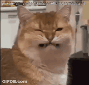 A Close Up Of A Cat With Its Eyes Closed And A Caption That Says `` My Smile When Someone Tells Me To Movecraft '' GIF