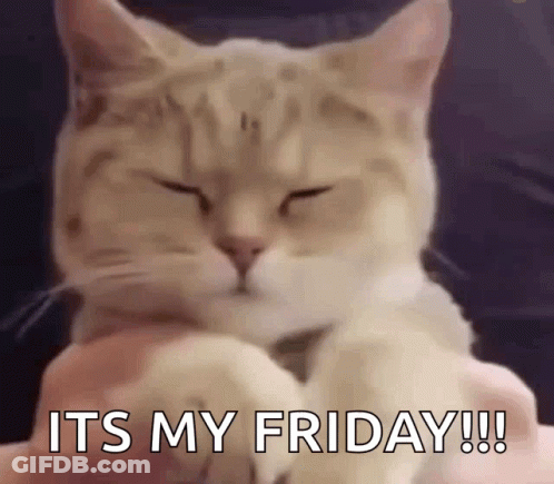 A Close Up Of A Cat With Its Eyes Closed And The Words `` It 'S My Friday '' Written On It . GIF