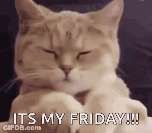 A Close Up Of A Cat With Its Eyes Closed And The Words `` It 'S My Friday '' Written On It . GIF