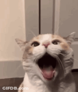 A Close Up Of A Cat With Its Mouth Open And Its Tongue Out . GIF