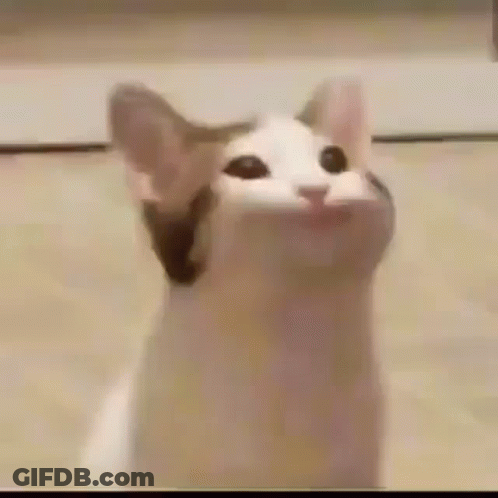 A Close Up Of A Cat With Its Mouth Open And Looking Up . GIF