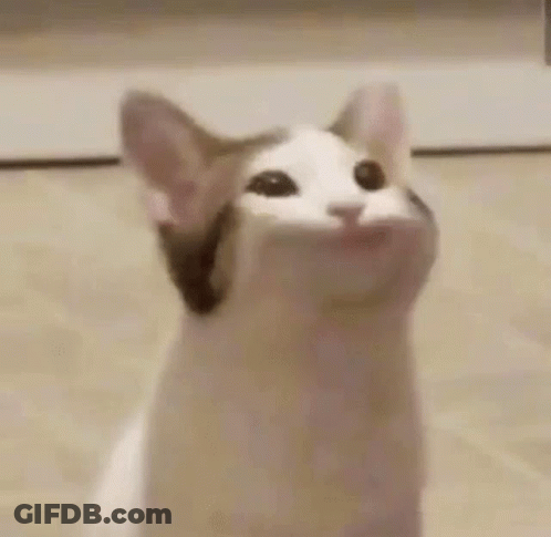 A Close Up Of A Cat With Its Mouth Open And Looking Up . GIF
