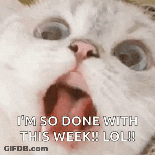 A Close Up Of A Cat With Its Mouth Open And The Words I 'M So Done With This Week Lol . GIF