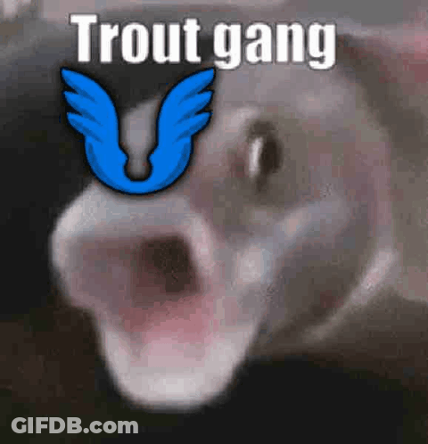 A Close Up Of A Cat With Its Mouth Open And The Words `` Trout Gang '' Above It . GIF