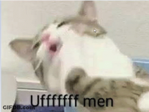A Close Up Of A Cat With Its Mouth Open And The Words `` Ufffffff Men '' Written Above It . GIF