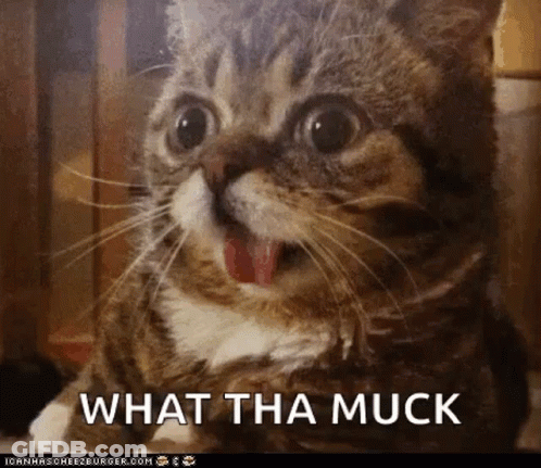 A Close Up Of A Cat With Its Mouth Open And The Words What Tha Muck Below It GIF