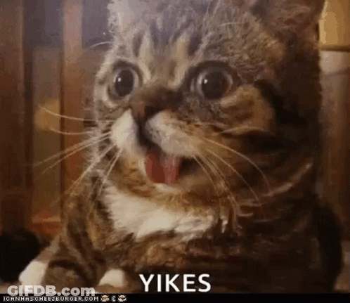 A Close Up Of A Cat With Its Tongue Out And The Word Yikes On The Bottom Right GIF