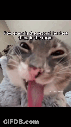A Close Up Of A Cat With Its Tongue Sticking Out . GIF