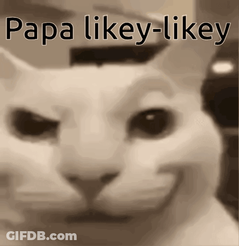 A Close Up Of A Cat With Papa Likey-Likey Written On It GIF