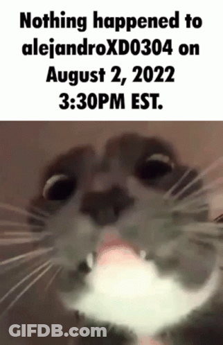 A Close Up Of A Cat With The Caption Nothing Happened To Alejandroxd0304 On August 2 , 2022 GIF