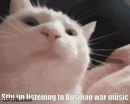 A Close Up Of A Cat With The Caption Stfu Im Listening To Bosnia War Music GIF
