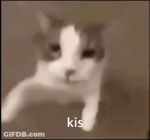 A Close Up Of A Cat With The Word Kis Written On The Bottom GIF
