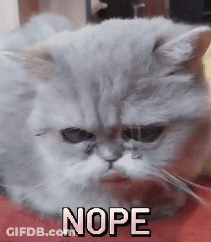 A Close Up Of A Cat With The Word Nope In White Letters GIF