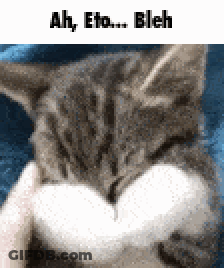 A Close Up Of A Cat With The Words Ah Eto Bleh Written On The Bottom GIF