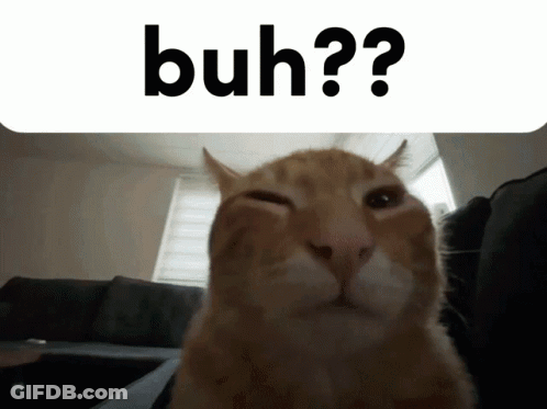 A Close Up Of A Cat With The Words " Buh " Written Above It GIF