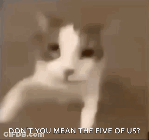 A Close Up Of A Cat With The Words " Don 'T You Mean The Five Of Us " GIF