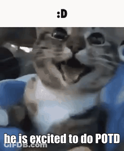 A Close Up Of A Cat With The Words He Is Excited To Do Potd Below It . GIF