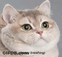 A Close Up Of A Cat With The Words Heavy Breathing Written Below It GIF