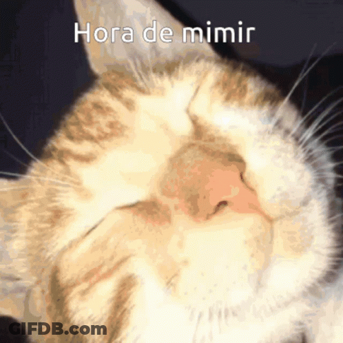 A Close Up Of A Cat With The Words Hora De Mimir On The Bottom GIF