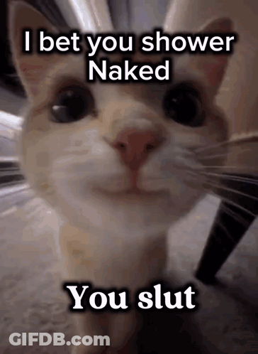 A Close Up Of A Cat With The Words I Bet You Shower Naked You Slut On It GIF