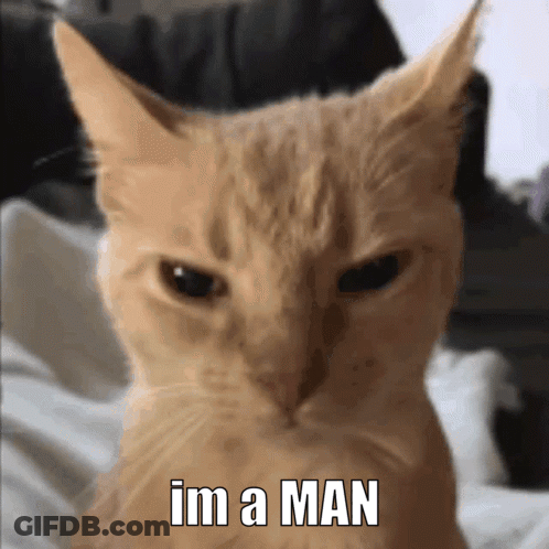 A Close Up Of A Cat With The Words Im A Man On It GIF