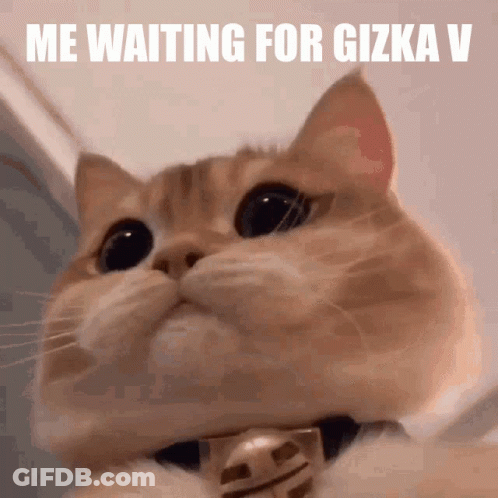 A Close Up Of A Cat With The Words Me Waiting For Gizka V Written Above It GIF
