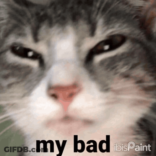 A Close Up Of A Cat With The Words " My Bad " On The Bottom GIF