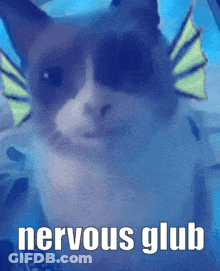 A Close Up Of A Cat With The Words Nervous Glub Written Below It GIF