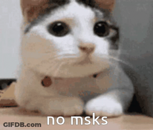 A Close Up Of A Cat With The Words " No Msks " On The Bottom GIF
