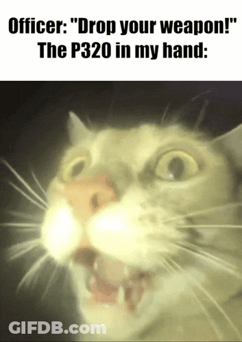 A Close Up Of A Cat With The Words Officer Drop Your Weapon The P320 In My Hand GIF