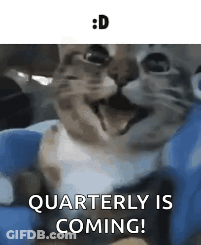 A Close Up Of A Cat With The Words Quarterly Is Coming Below It GIF