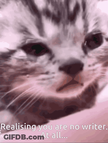 A Close Up Of A Cat With The Words Realising You Are No Writer At All On The Bottom GIF