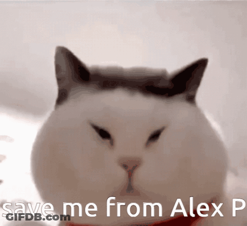 A Close Up Of A Cat With The Words Save Me From Alex P Above It GIF