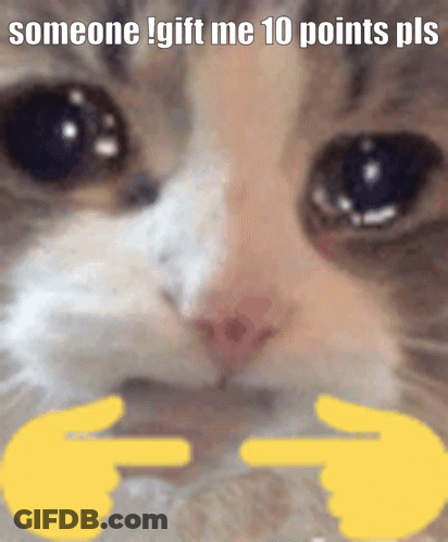 A Close Up Of A Cat With The Words " Someone Gift Me 10 Points Pls " On The Bottom GIF