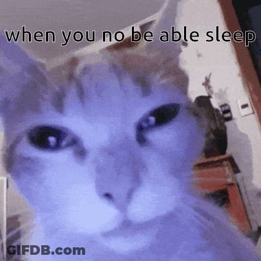 A Close Up Of A Cat With The Words " When You No Be Able Sleep " Below It GIF
