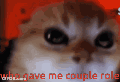 A Close Up Of A Cat With The Words " Who Gave Me Couple Role " Above It GIF